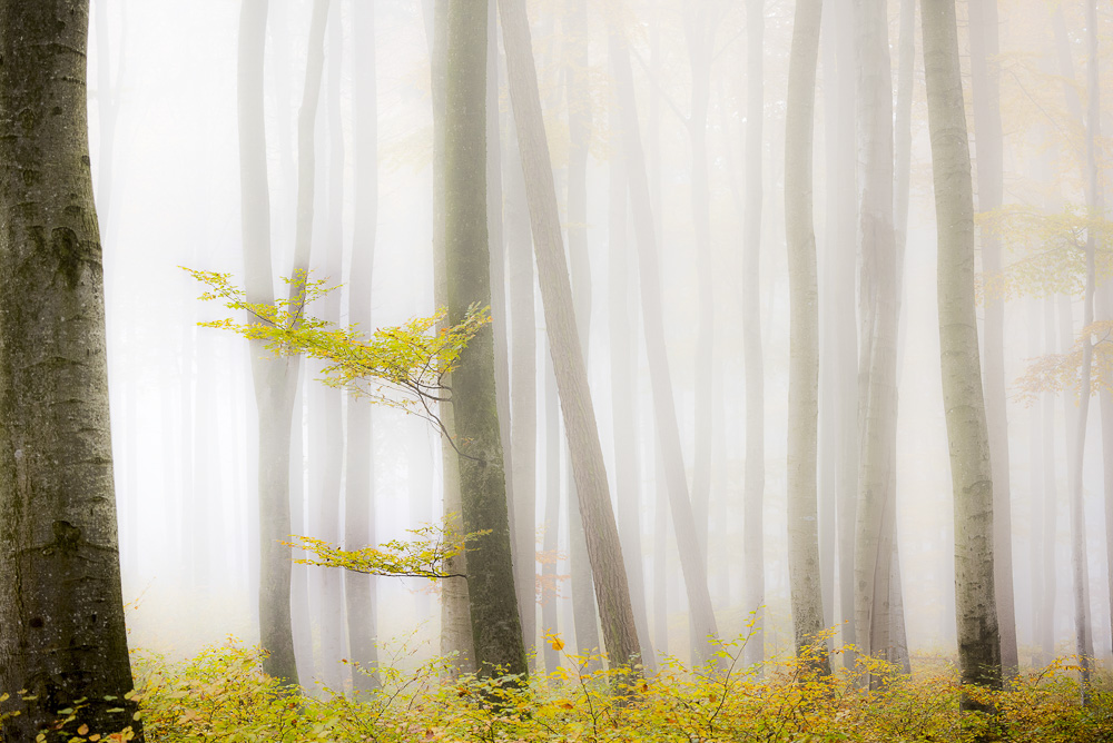 1. Platz Robert Seitz